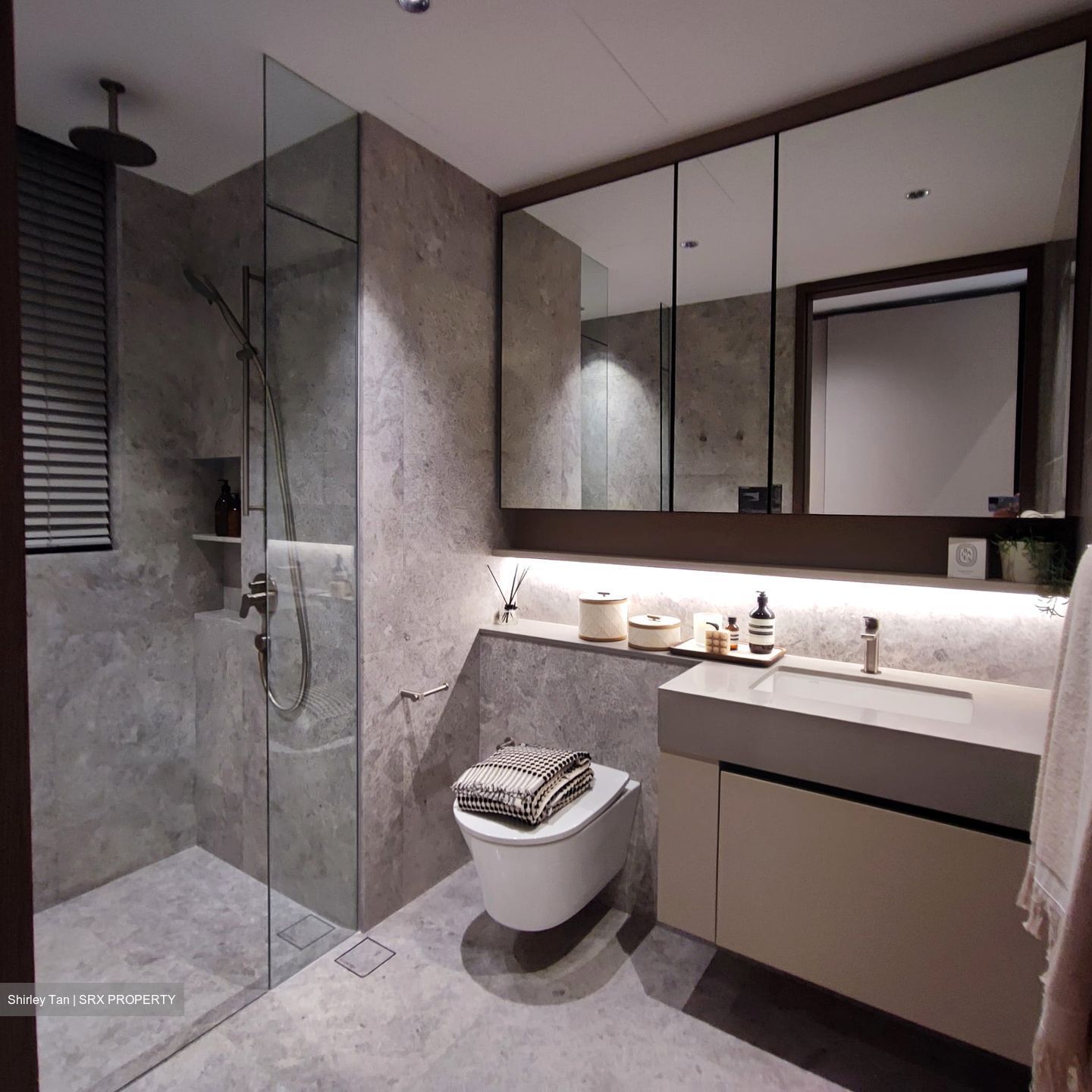 Amber House (D15), Apartment #515697991